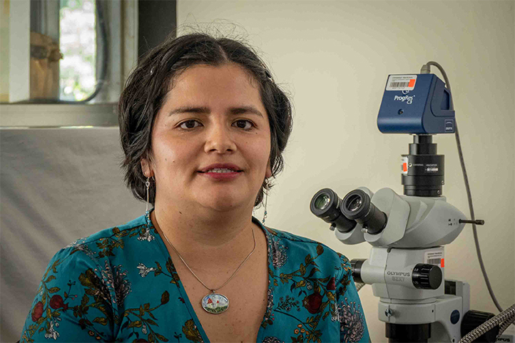 Egresada UV logra registros inéditos sobre hongo que daña la zarzamora