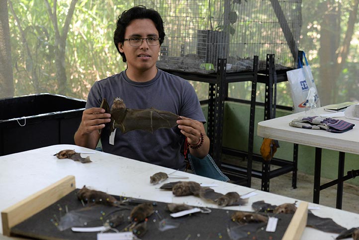 estudiante-biologia-uv-hantavirus Ricardo Medina Juárez, estudiante de Biología de la UV, analiza secuencias de hantavirus
