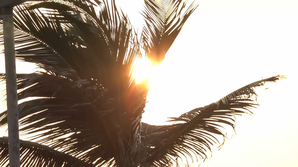 Festival del Mar 2026: del 7 al 9 de agosto en Coatzacoalcos