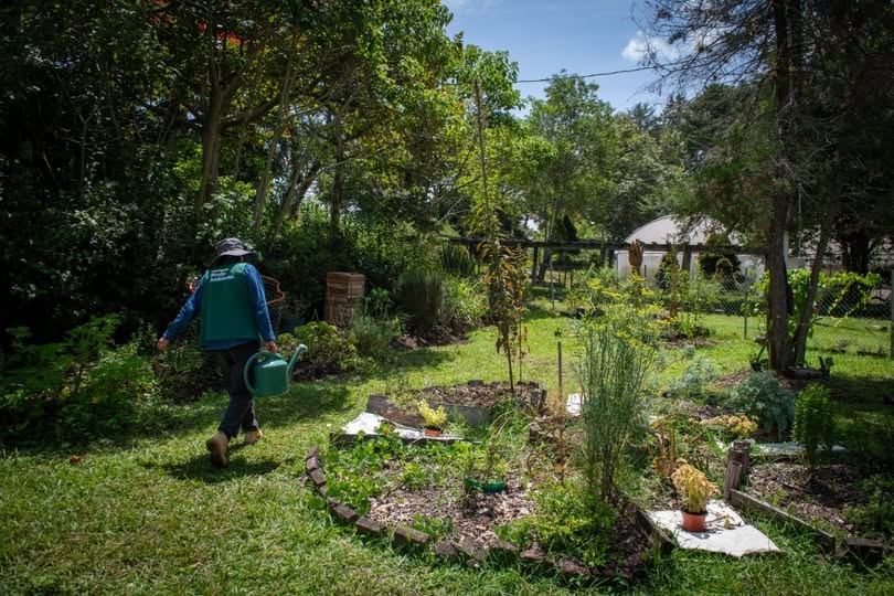 Módulos demostrativos del huerto en el Parque Ecológico El Haya