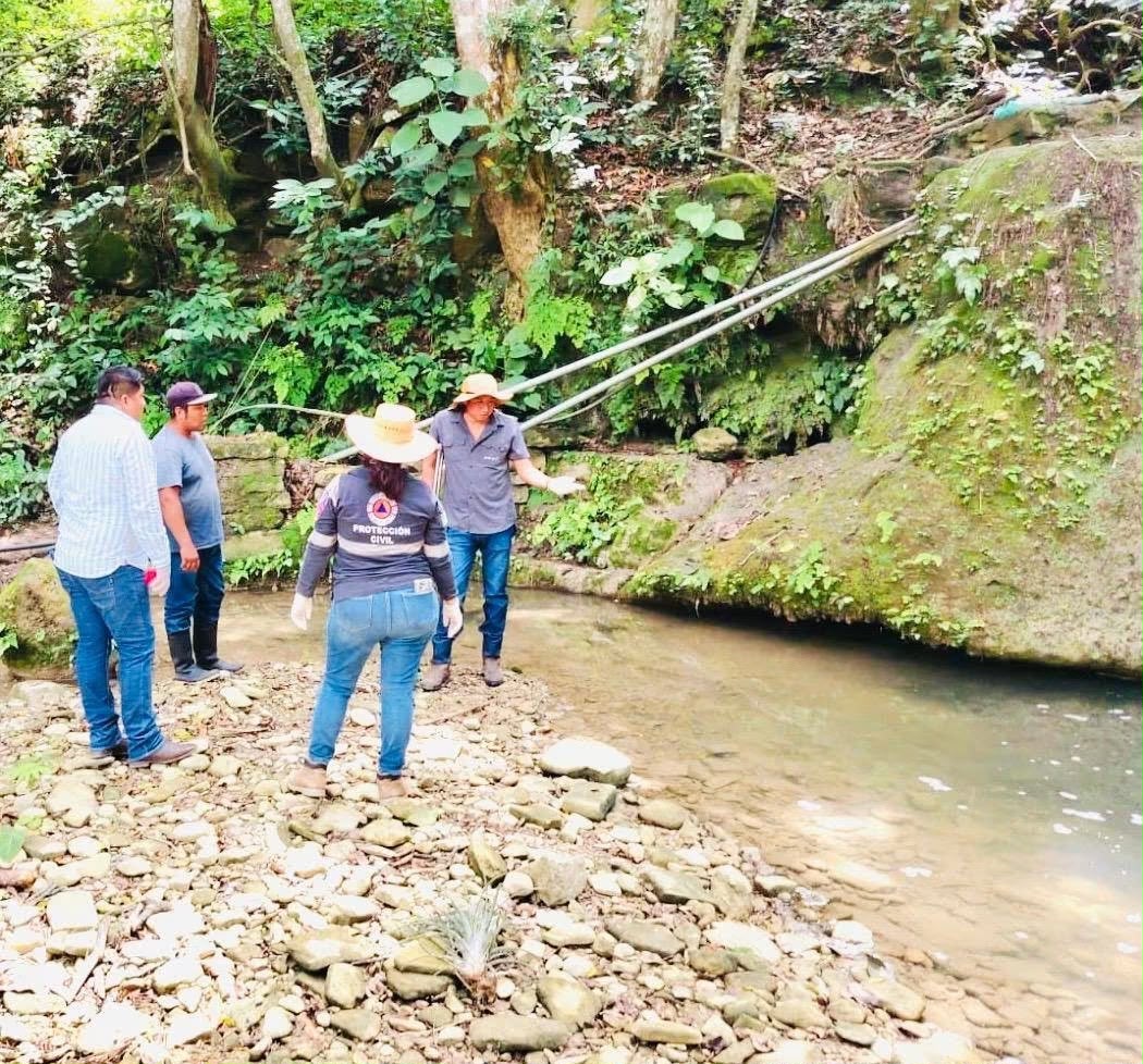 Alerta en Ixhuatlán de Madero por muerte masiva de acamayas