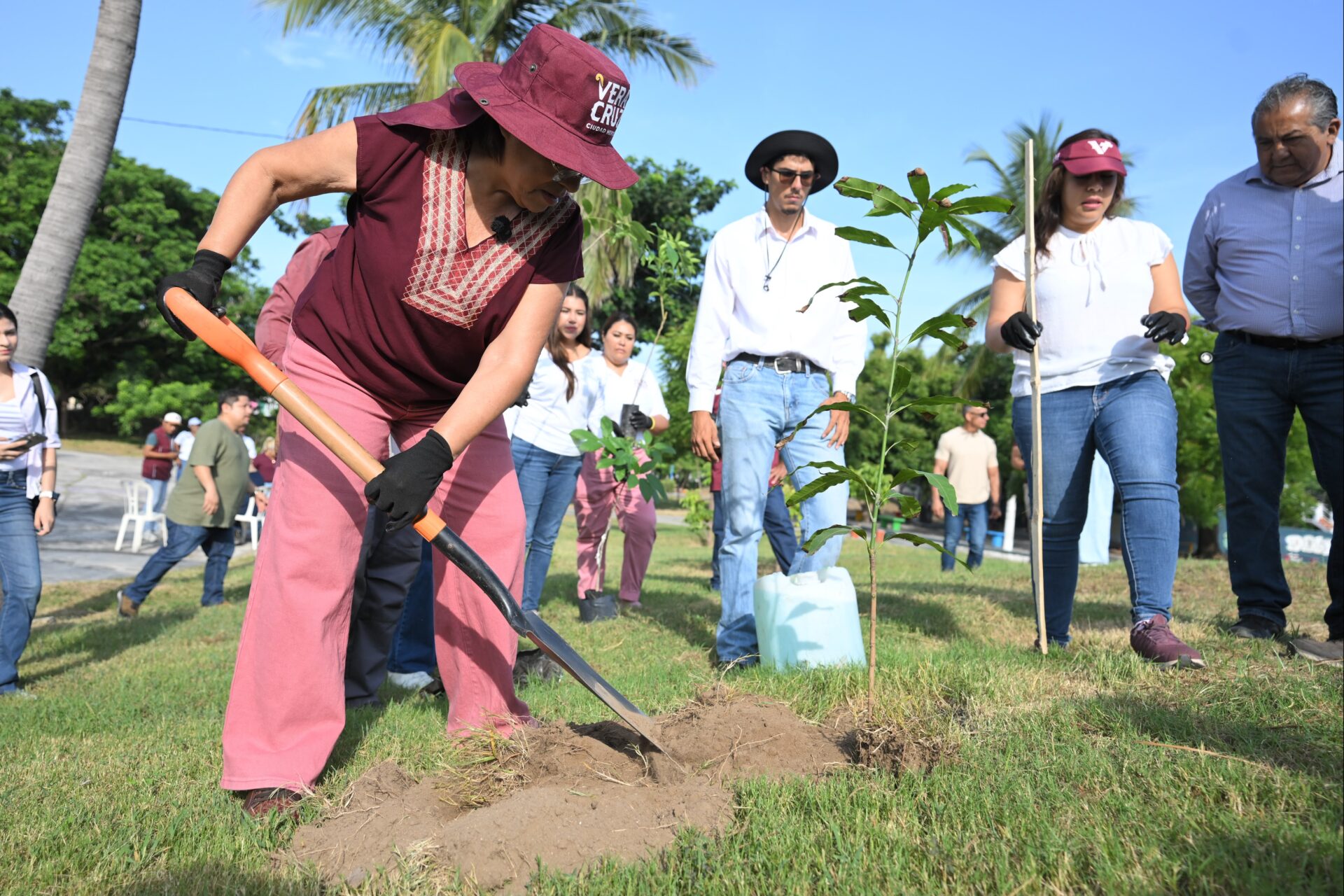 jornada-nacional-de-reforestacion-2026-veracruz Alcaldesa Rosa María Hernández Espejo siembra un árbol en el parque Los Volcanes