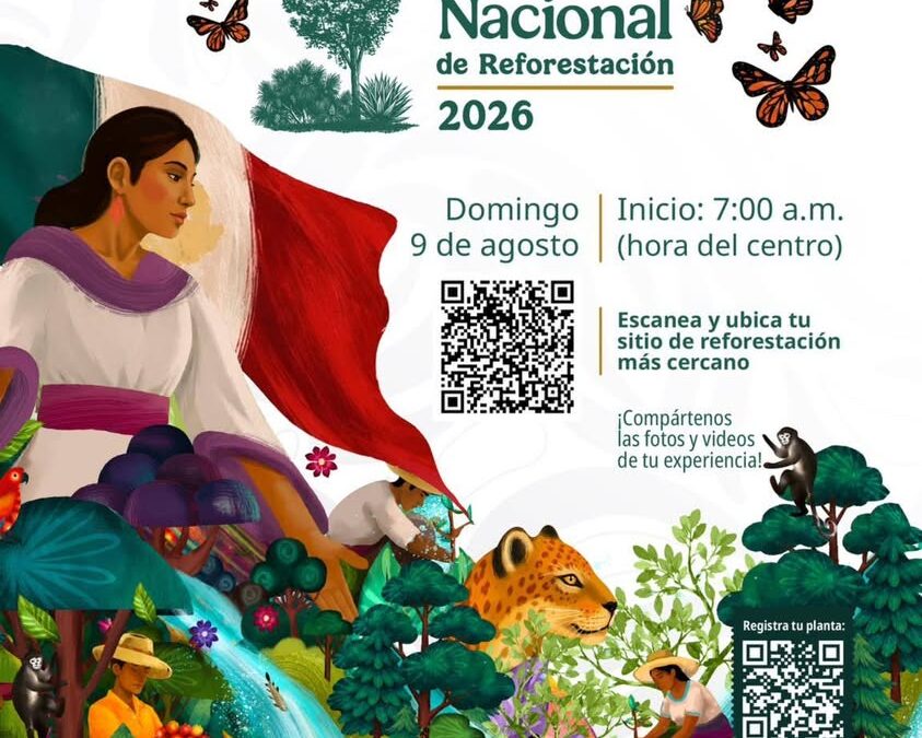 SSP Veracruz convoca a Jornada Nacional de Reforestación el 9 de agosto