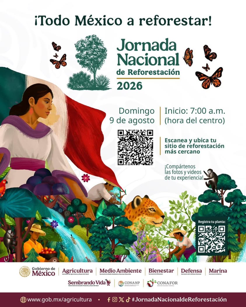 Publicación de la SSP Veracruz sobre la Jornada Nacional de Reforestación del 9 de agosto