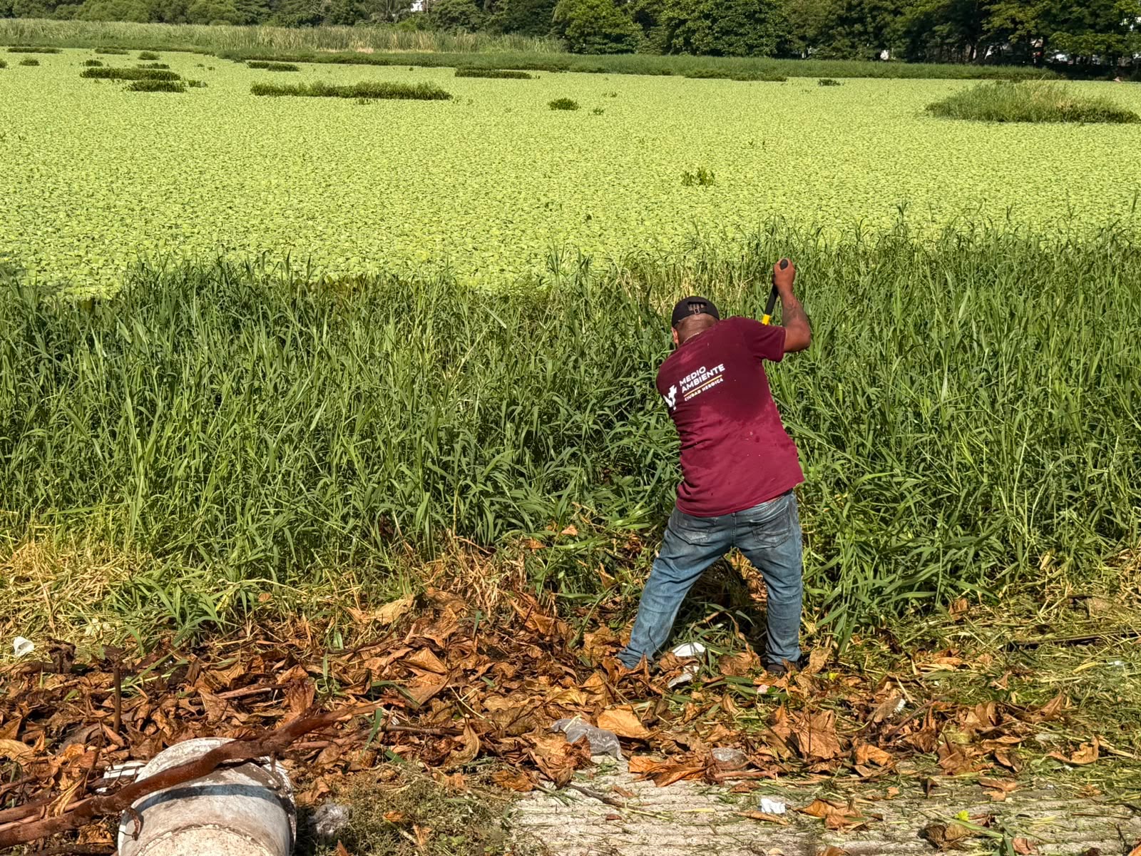 Ayuntamiento de Veracruz retira más de 100 toneladas de residuos en lagunas