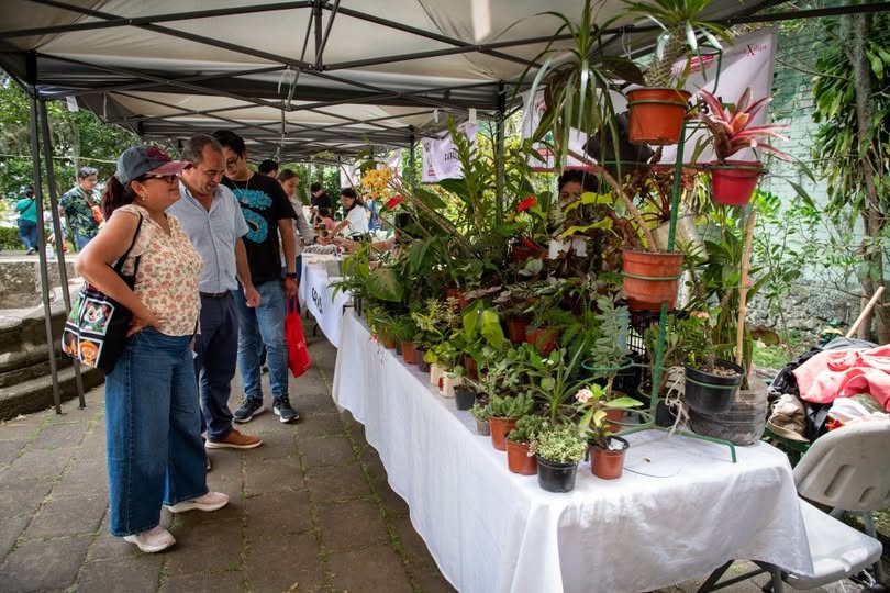 Alcaldesa de Xalapa asiste a la tercera edición del Mercadito Bicentenario