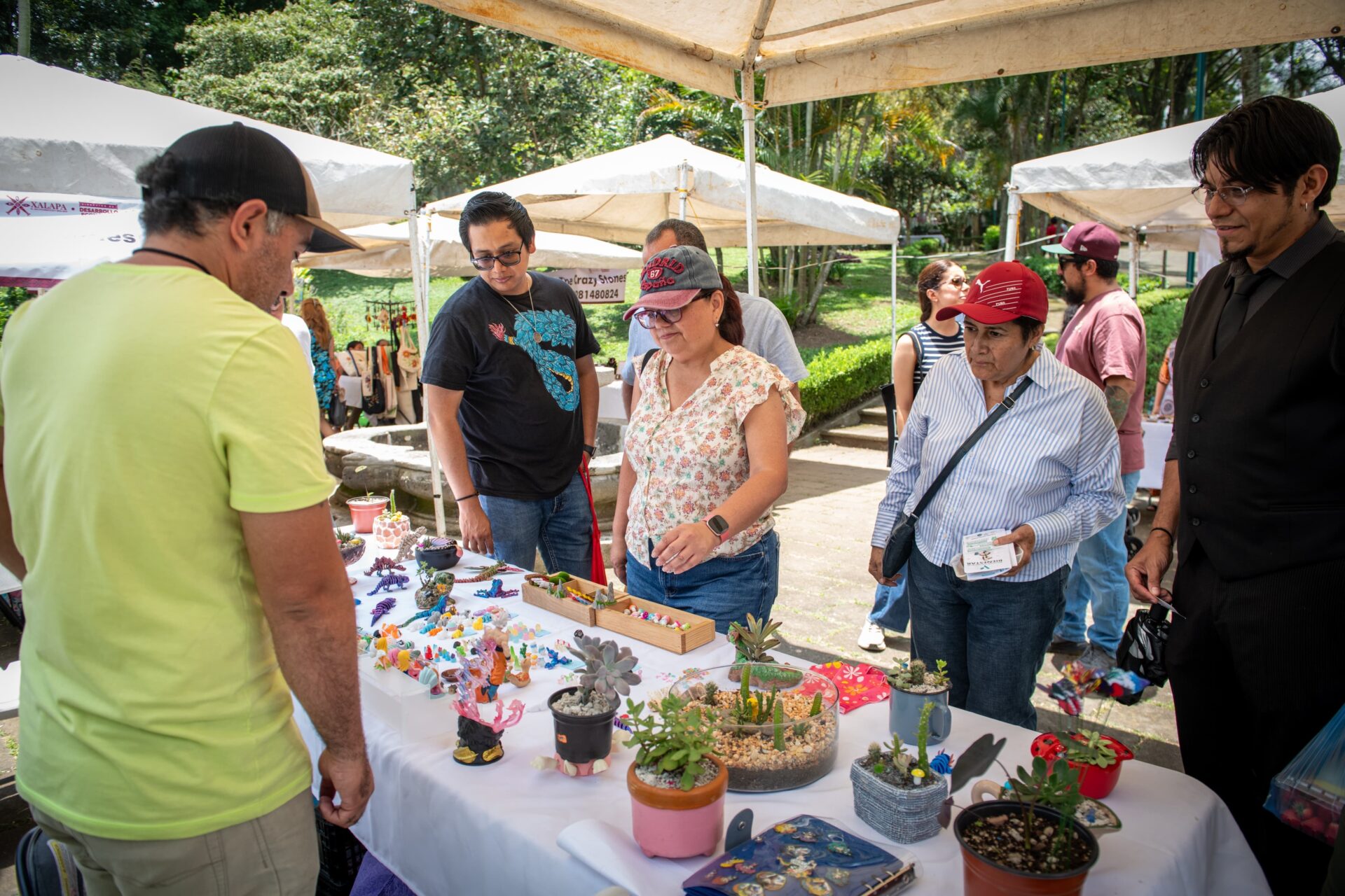 mercadito-bicentenario-xalapa Alcaldesa Daniela Griego en el Mercadito Bicentenario de Xalapa
