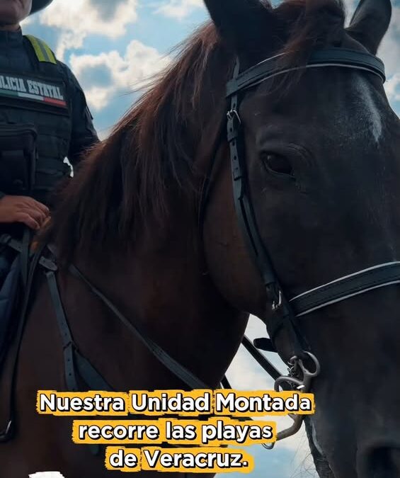 Operativo Vacaciones Seguras: Unidad Montada refuerza playas de Veracruz