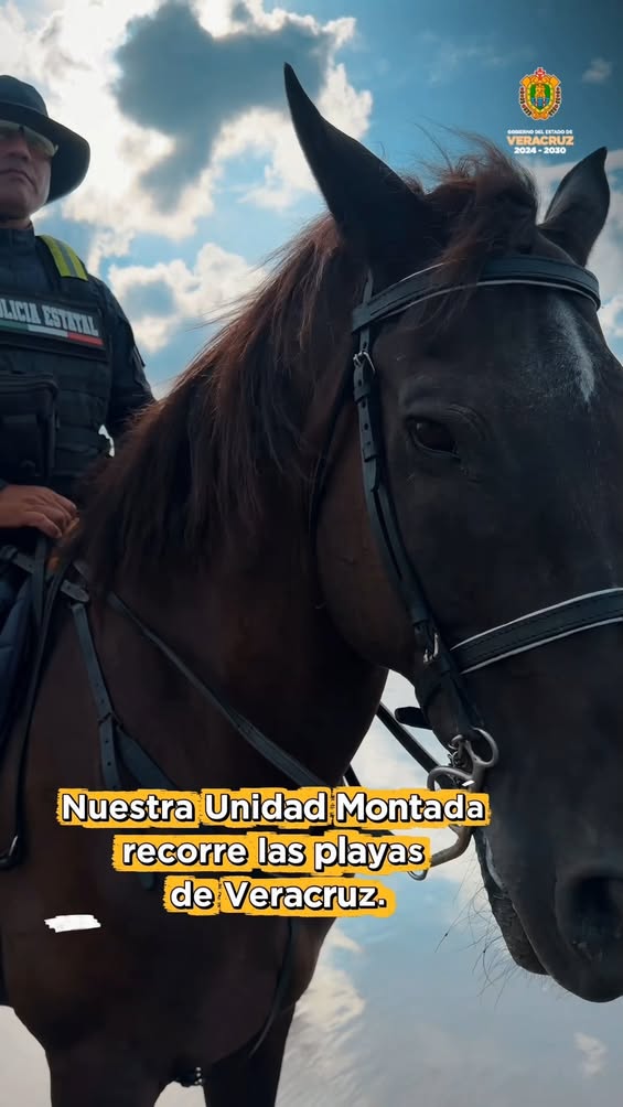 operativo-vacaciones-seguras-policia-estatal-unidad-montada Unidad Montada de la Policía Estatal durante el Operativo Vacaciones Seguras en playas de Veracruz