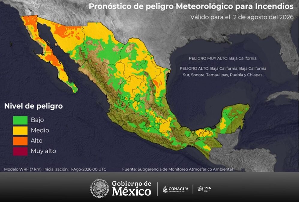Pronostican peligro muy alto de incendios forestales en Baja California