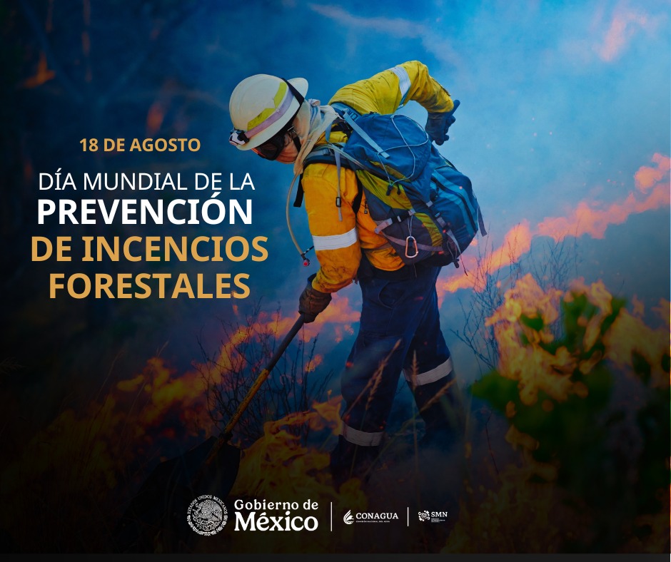 Bosques y pastizales con recomendaciones para prevenir incendios