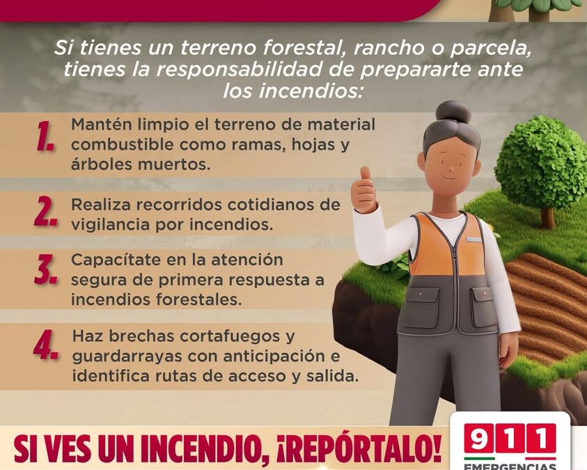 Protección Civil Veracruz llama a prevenir incendios en terrenos