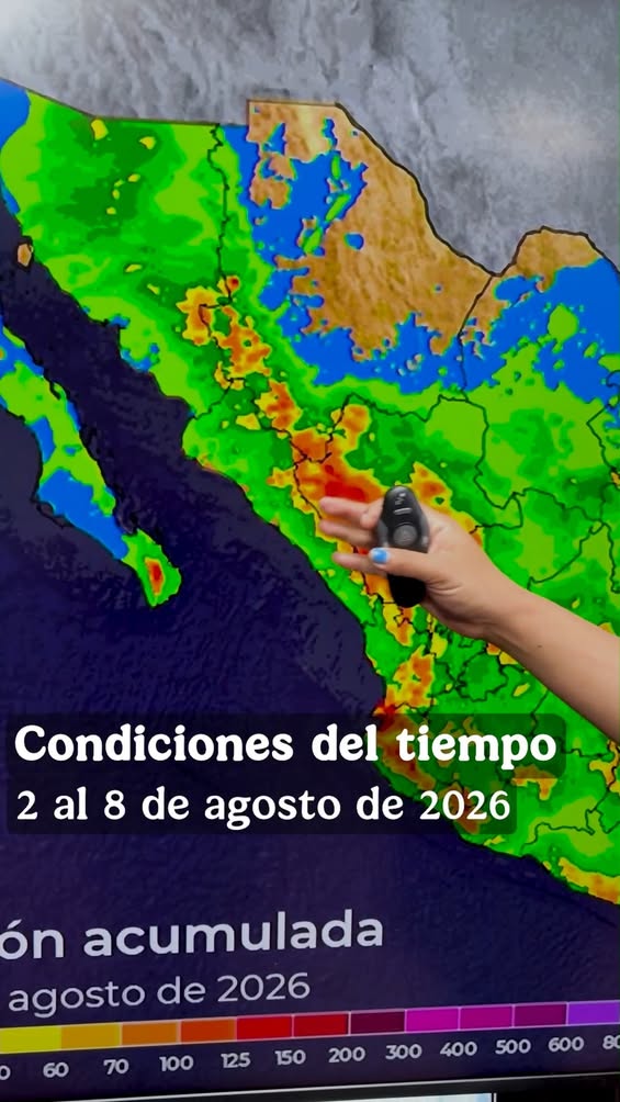 Videoclip del SMN con el pronóstico del clima para la semana del 2 al 8 de agosto