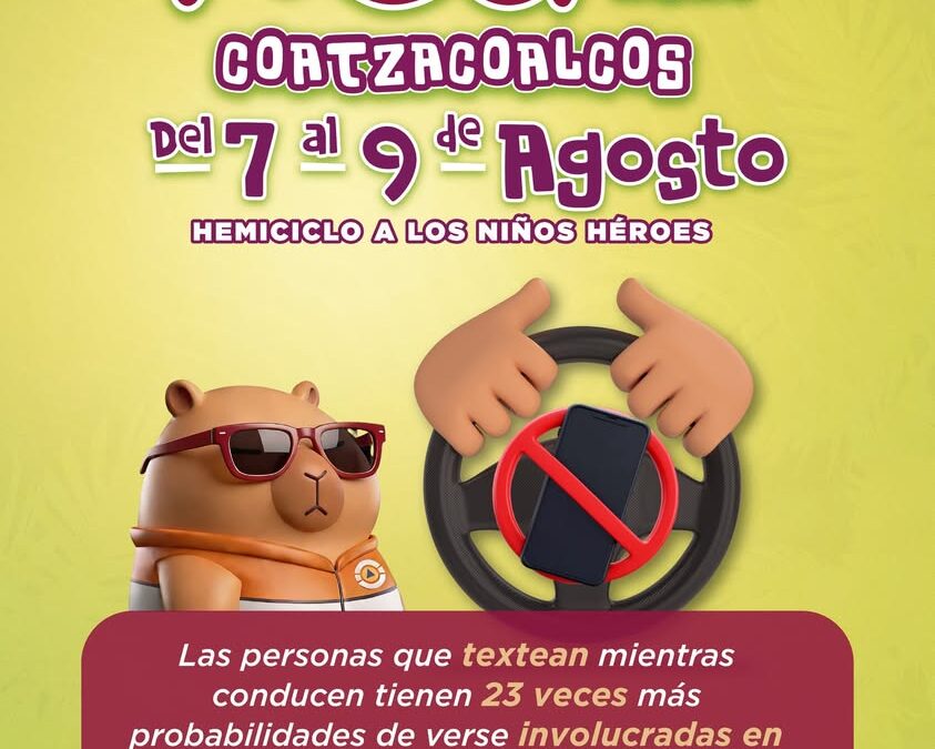 Protección Civil de Veracruz advierte sobre peligro de textear al conducir