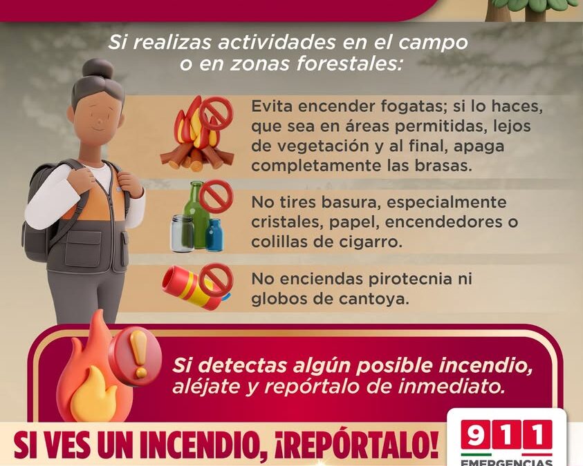 Protección Civil de Veracruz llama a cuidar bosques en zonas rurales