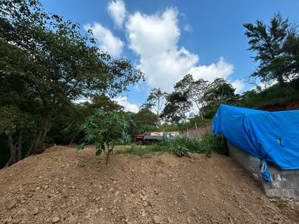 Xalapa recupera espacio verde ocupado por vehículos en El Vergel