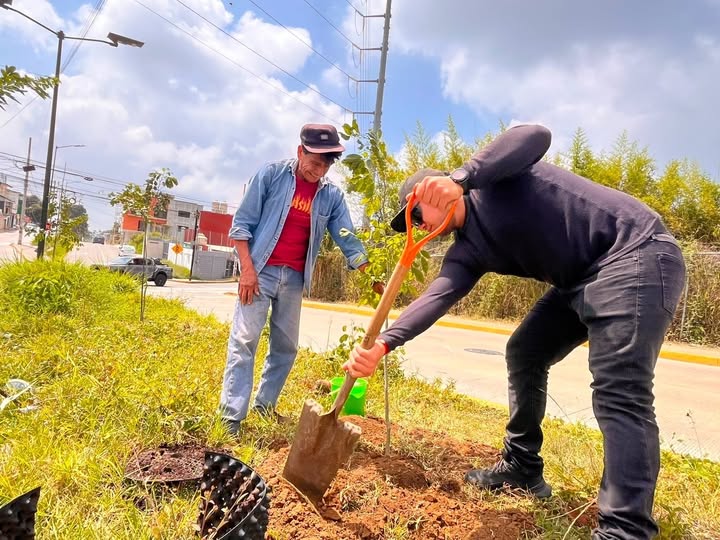 Xalapa: 15 árboles más en la Reserva Territorial