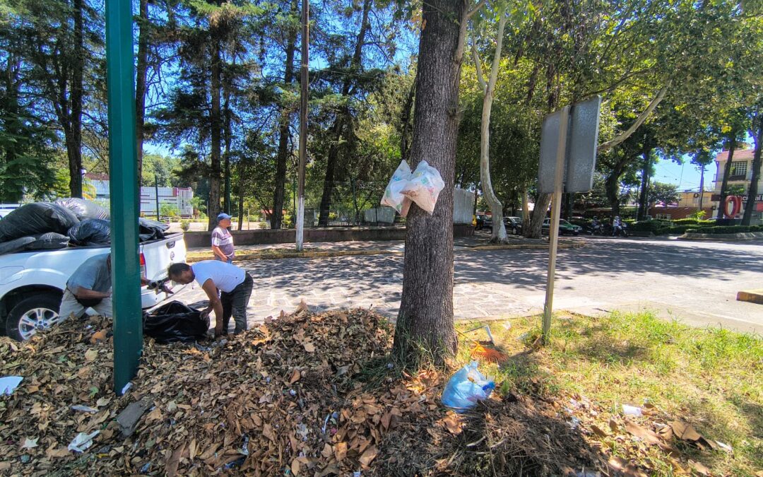 Ayuntamiento exhorta a reportar basura y hojarasca en Xalapa