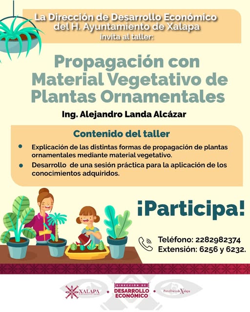 Ayuntamiento de Xalapa invita a taller de propagación de plantas