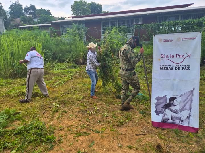Jornada comunitaria Tequio por la Paz en Acayucan con participación de Tránsito estatal