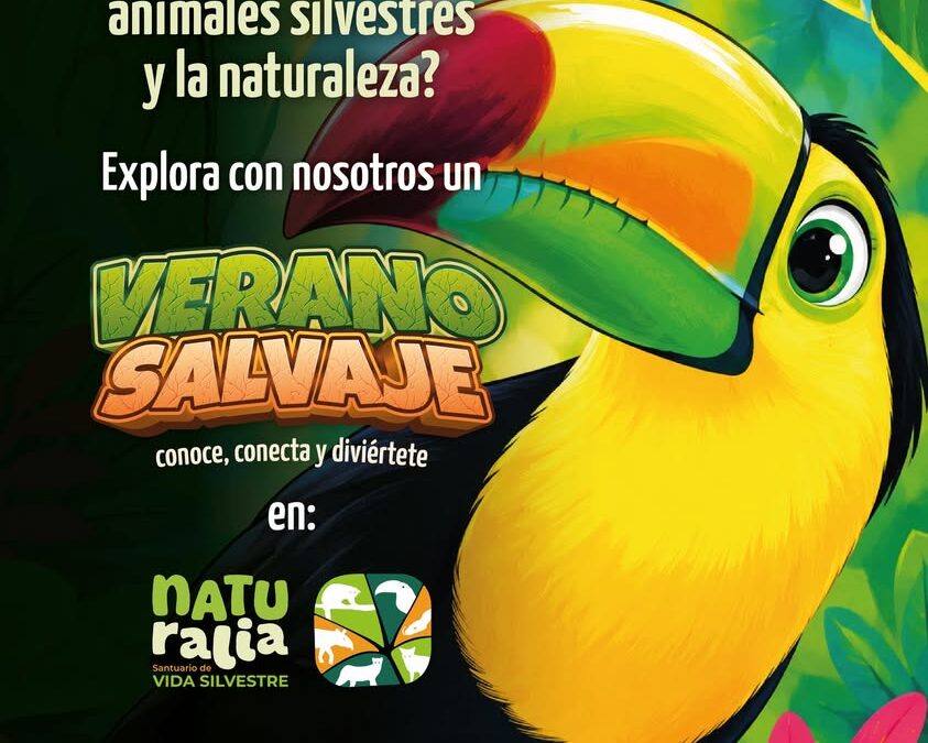 Verano Salvaje llega a Naturalia con actividades de naturaleza
