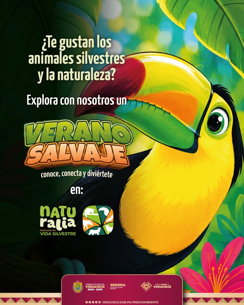 Programa Verano Salvaje en Naturalia para niñas y niños