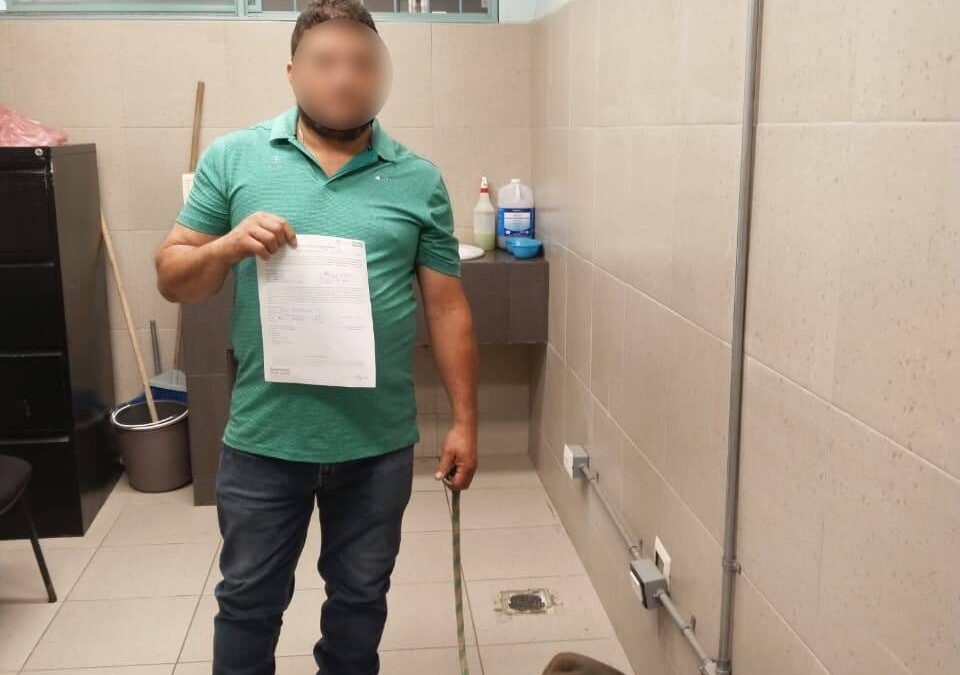 Salud Municipal de Xalapa reporta 51 adopciones de animales en 2026