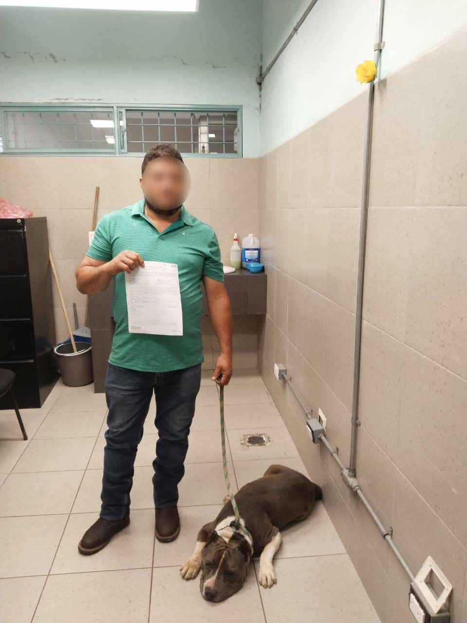 adopcion-responsable-animales-xalapa Animales bajo resguardo del Departamento de Salud Animal de Xalapa