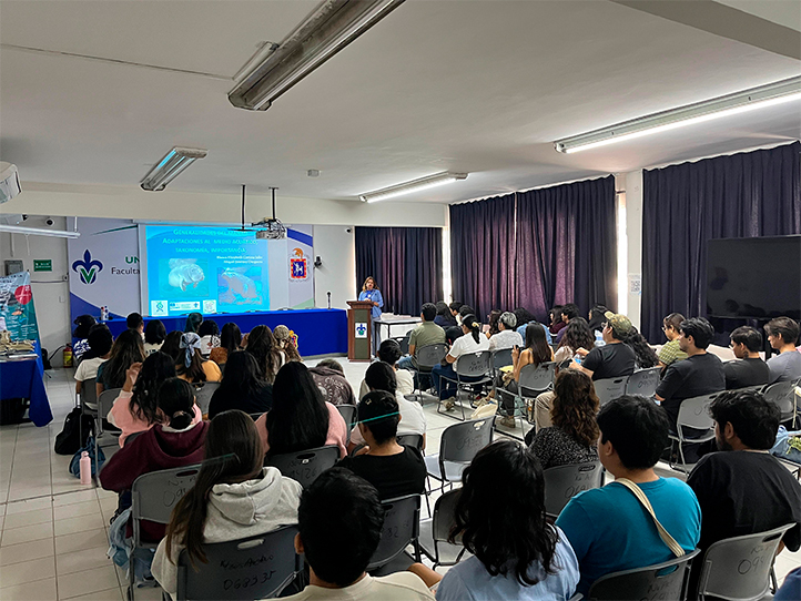 Estudiantes de la UV durante el curso teórico-práctico sobre atención de varamientos del manatí