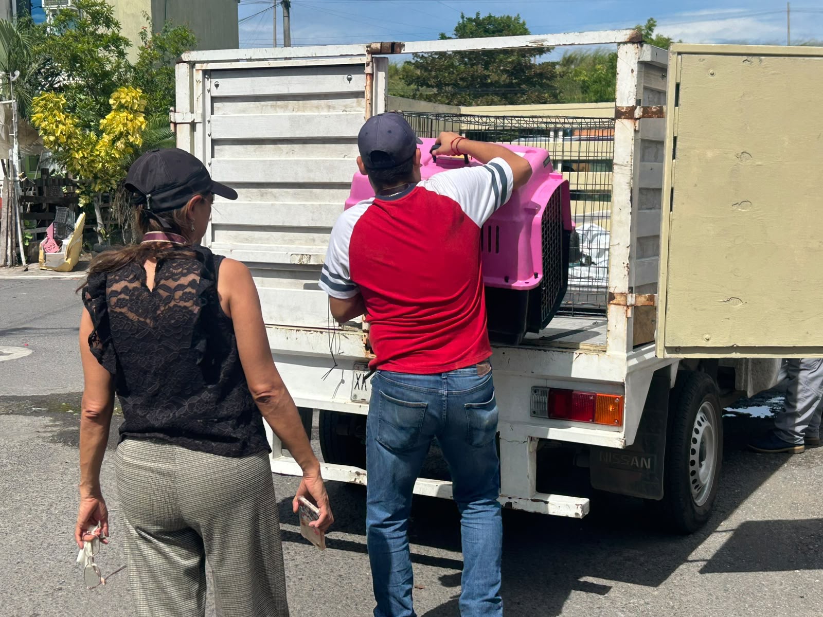 Rescata Ayuntamiento de Veracruz a perrita amarrada en Colinas de Santa Fe