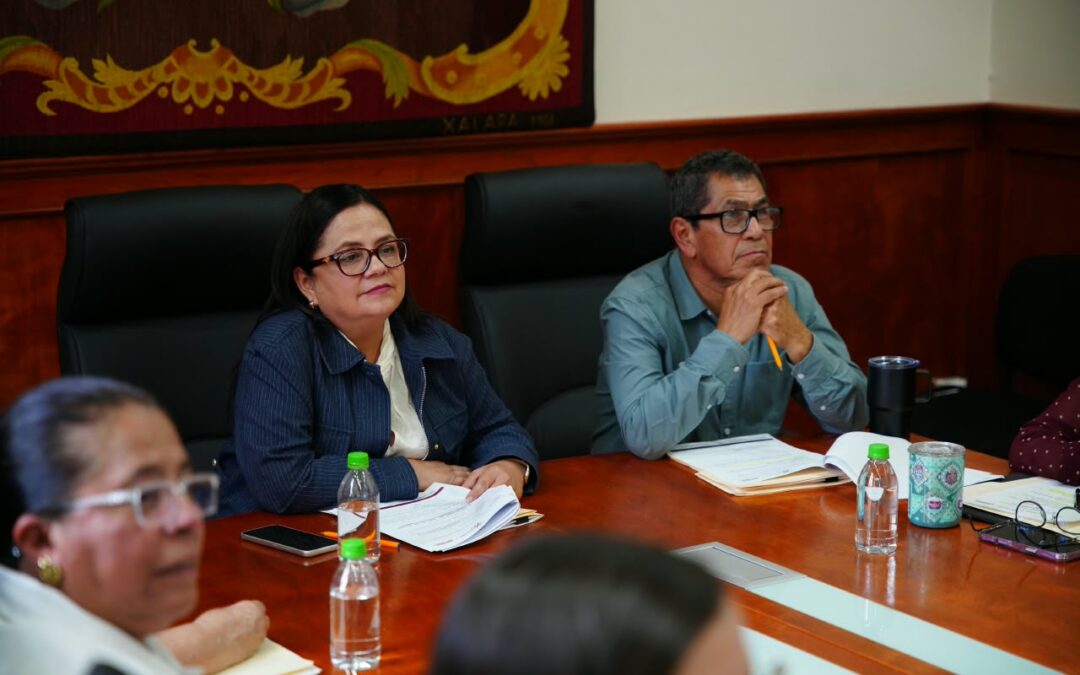 Griego Ceballos: compromiso permanente con el medio ambiente en Xalapa