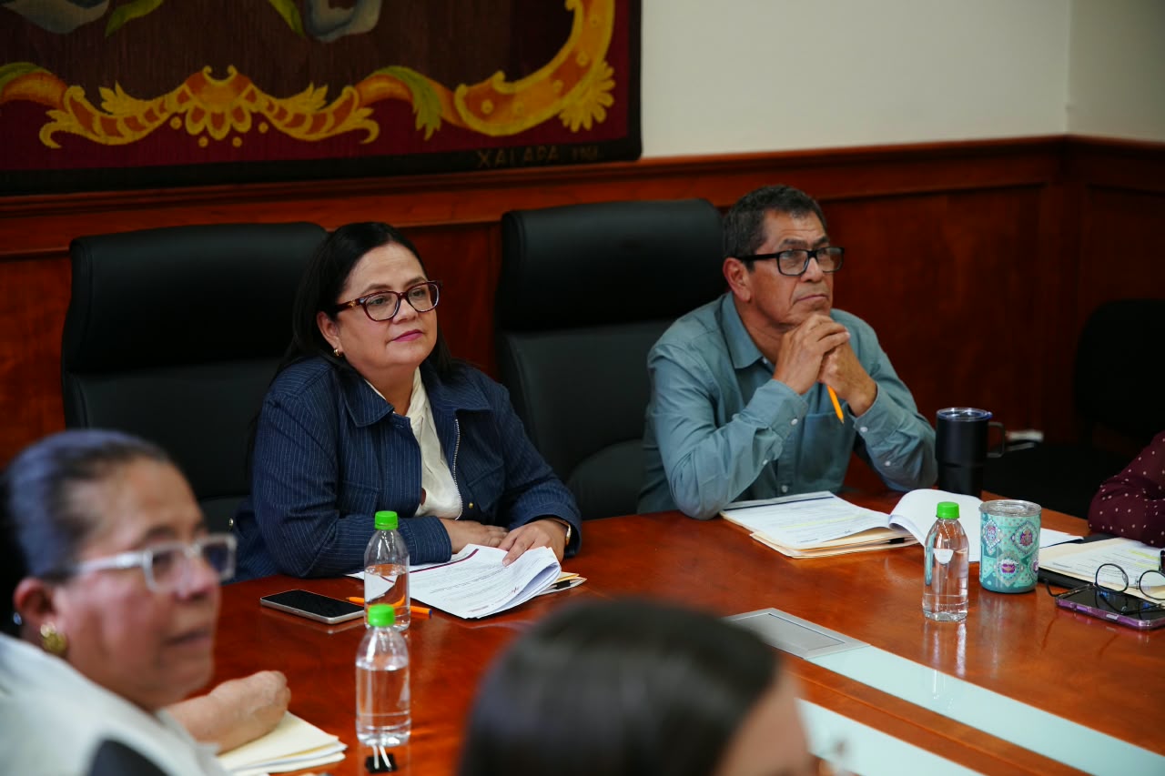 Primera sesión ordinaria del Consejo Consultivo de Medio Ambiente de Xalapa