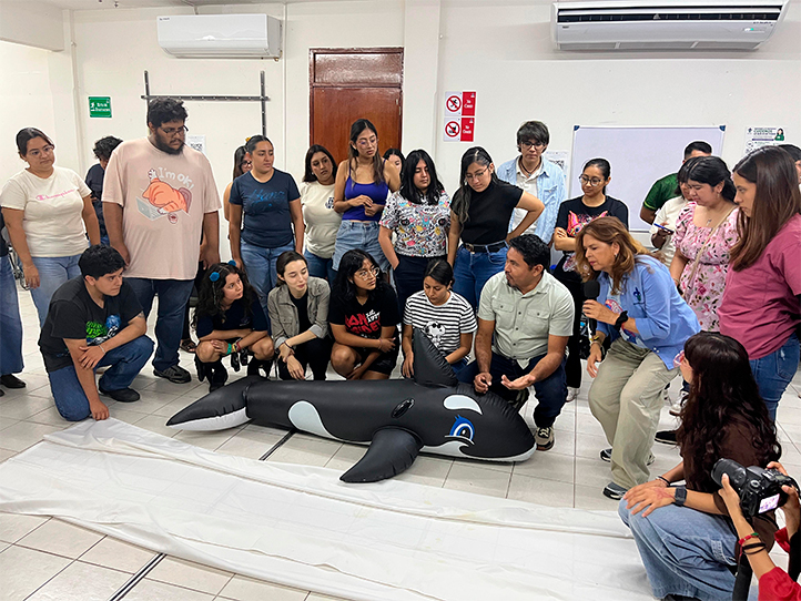 Capacitan a estudiantes UV para atender varamientos del manatí