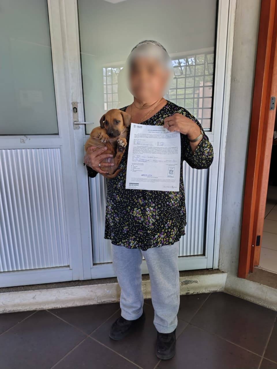Salud Municipal de Xalapa reporta 51 adopciones de animales en 2026