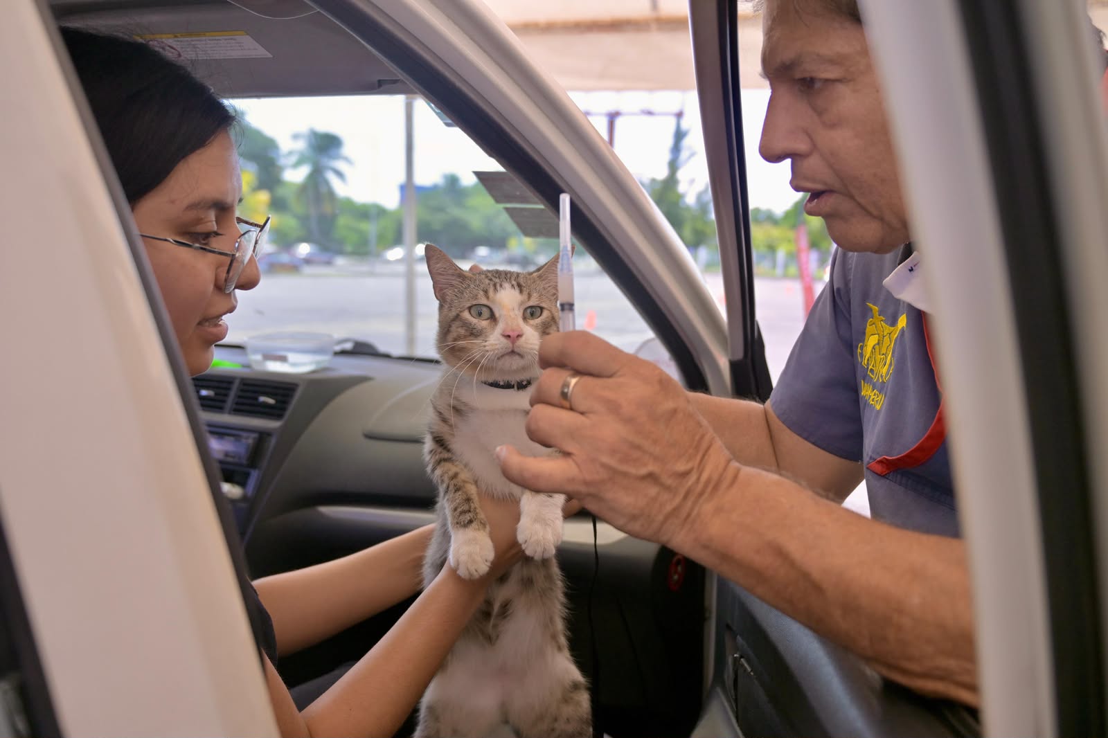 jornada-nacional-vacunacion-antirrabica-veracruz Módulo de vacunación antirrábica para perros y gatos en el estacionamiento de Reino Mágico, Veracruz