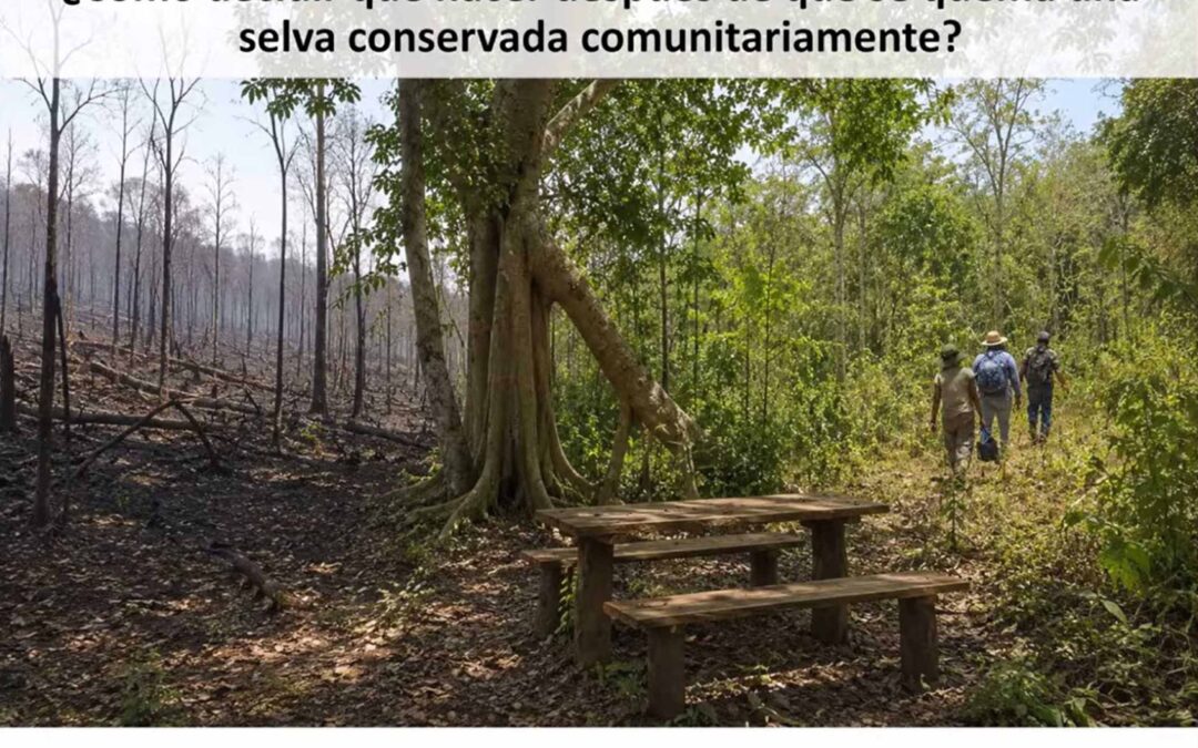 Especialista propone abordaje transdisciplinario para regeneración forestal en Campeche