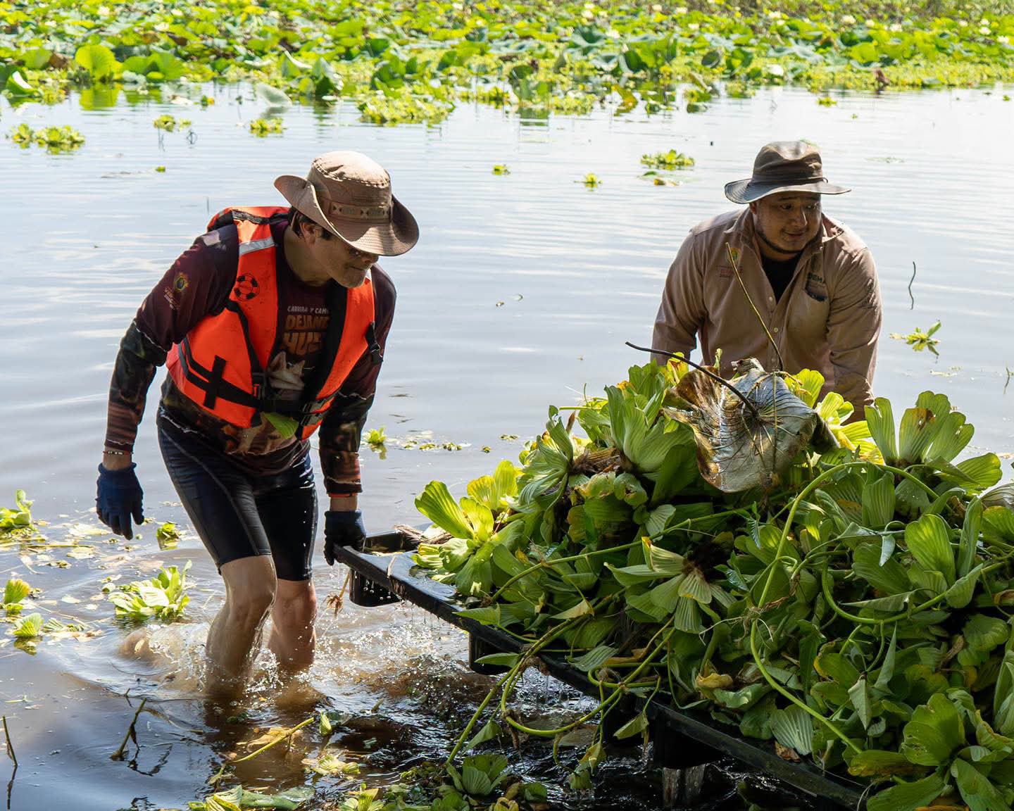 SEDEMA inicia jornadas de limpieza en la Laguna de San Julián