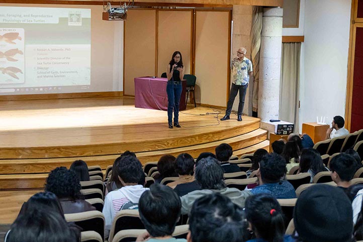 Tortugas marinas reducen respuesta al estrés durante la reproducción