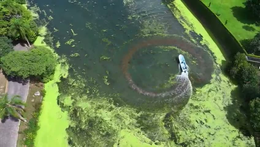 Primer lago de Las Ánimas con trabajos de saneamiento de vegetación invasora en Xalapa