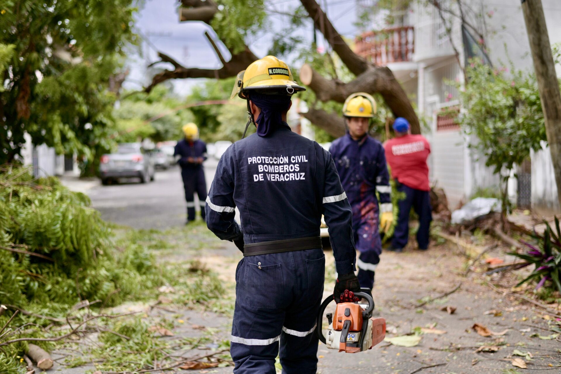 Retiro de árboles caídos por el Frente Frío 2 en Veracruz