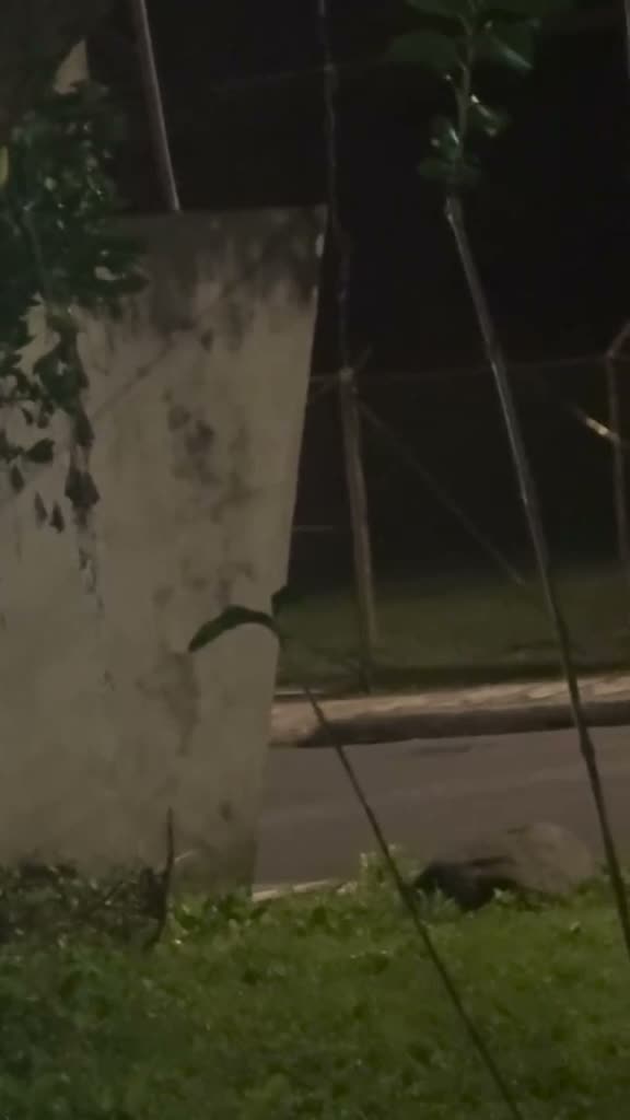 Elementos de seguridad estatal durante un operativo en Orizaba, Veracruz