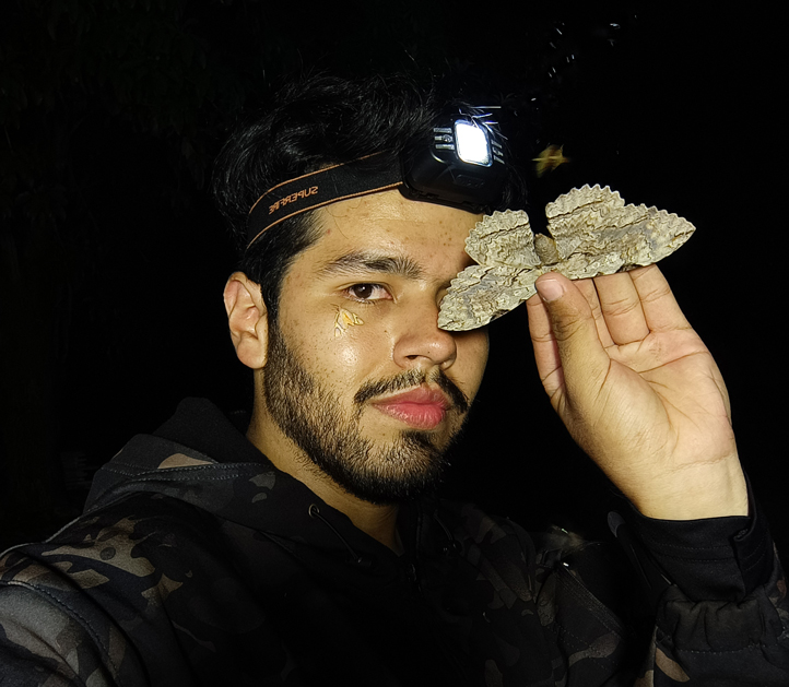 Muestreo nocturno de polillas Saturniidae en el rancho La Bandera, Actopan
