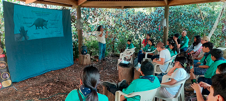 Estudiante de la UV promueve empatía por los tlacuaches en Xalapa
