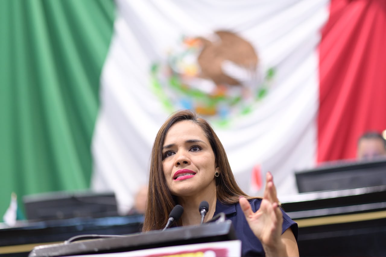 Pide diputada reconsiderar reemplacamiento vehicular en Veracruz