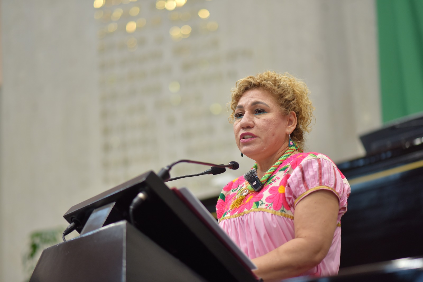 Propone diputada incluir la Medicina Tradicional en la Ley de Salud del estado