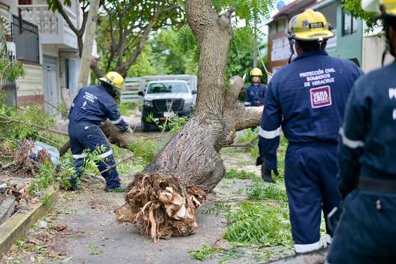 Ayuntamiento de Veracruz atiende 35 servicios por afectaciones del norte