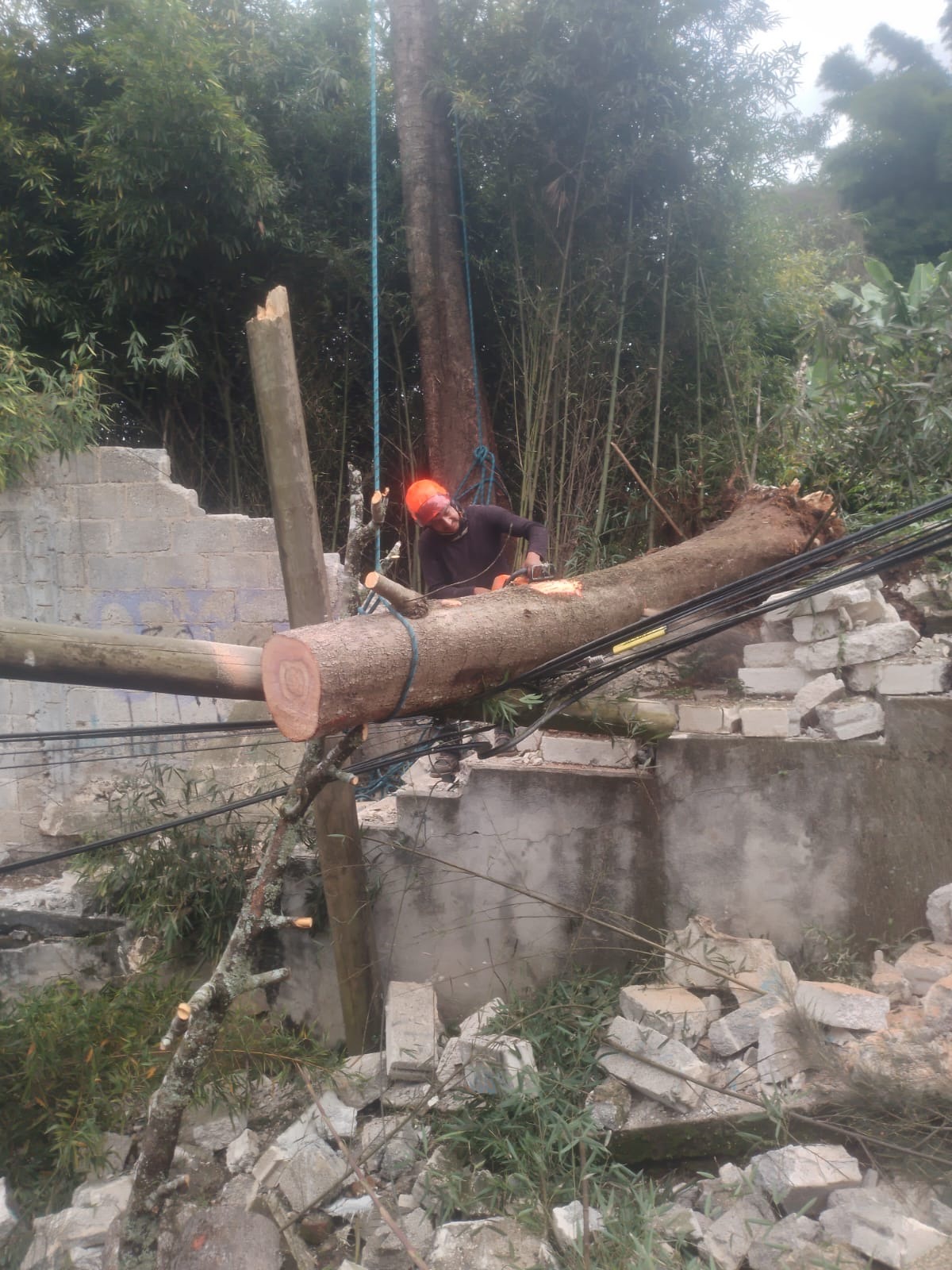 Xalapa reporta saldo blanco tras Frente Frío 2; continuarán lluvias este domingo